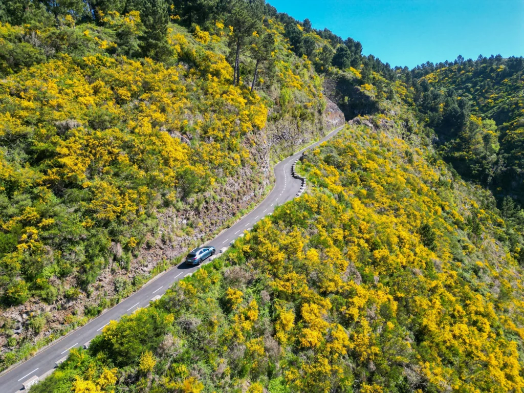 driving in madeira